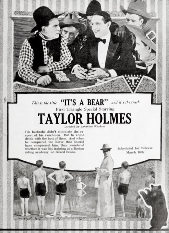 It's a Bear poster – Cult Cinema