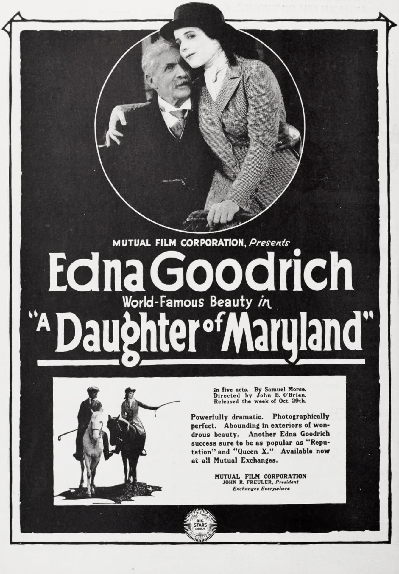 Daughter of Maryland poster – Cult Cinema