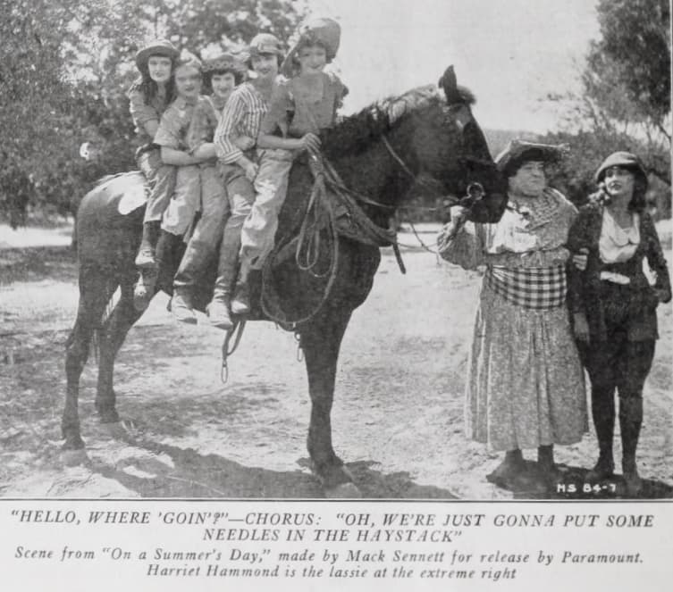 On a Summer Day poster – Cult Cinema