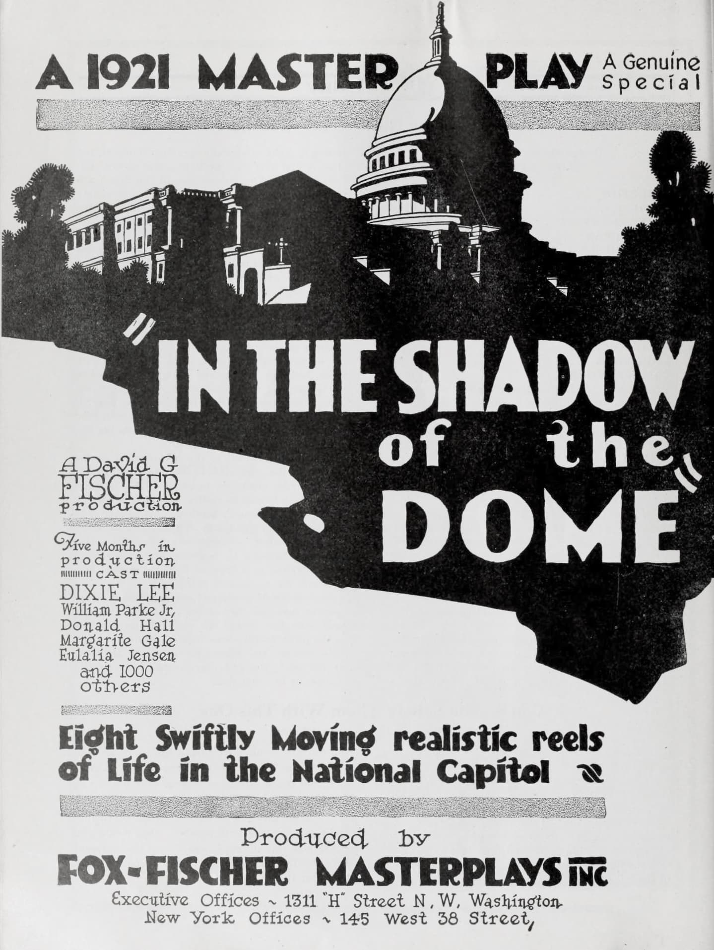 In the Shadow of the Dome poster – Cult Cinema