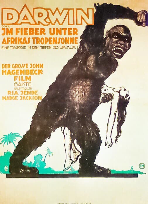 Darwin (1920) film backdrop