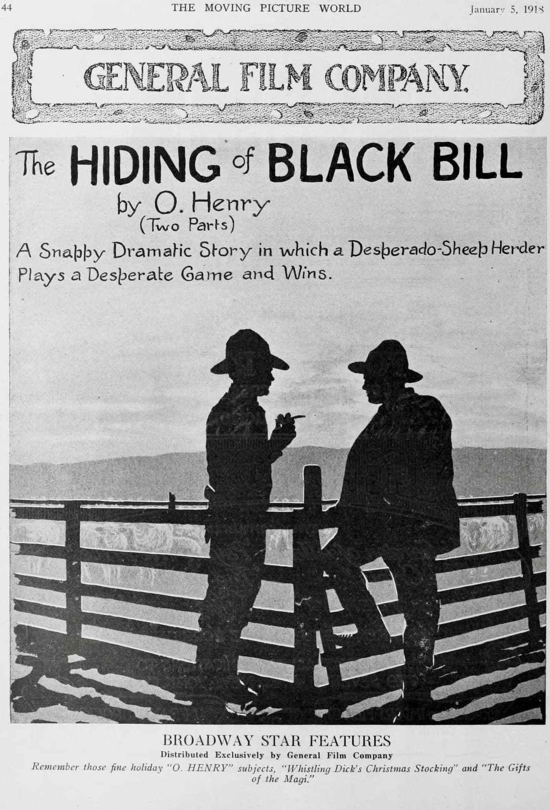 The Hiding of Black Bill poster