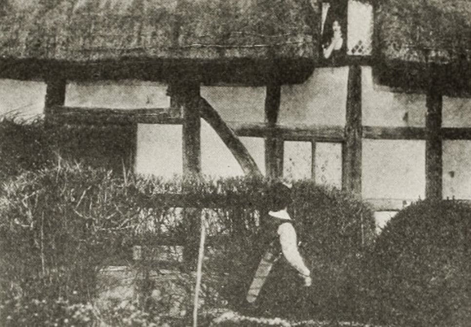 Loves and Adventures in the Life of Shakespeare poster – Cult Cinema