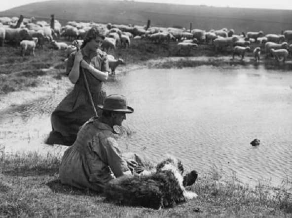 Tansy (1921) film backdrop