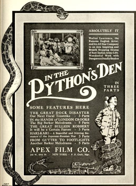 In the Python's Den