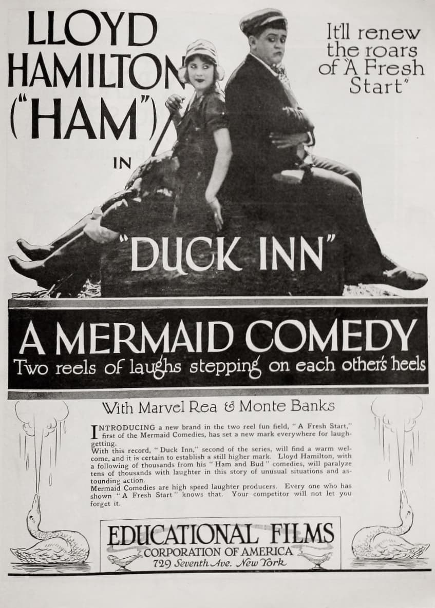 Duck Inn poster