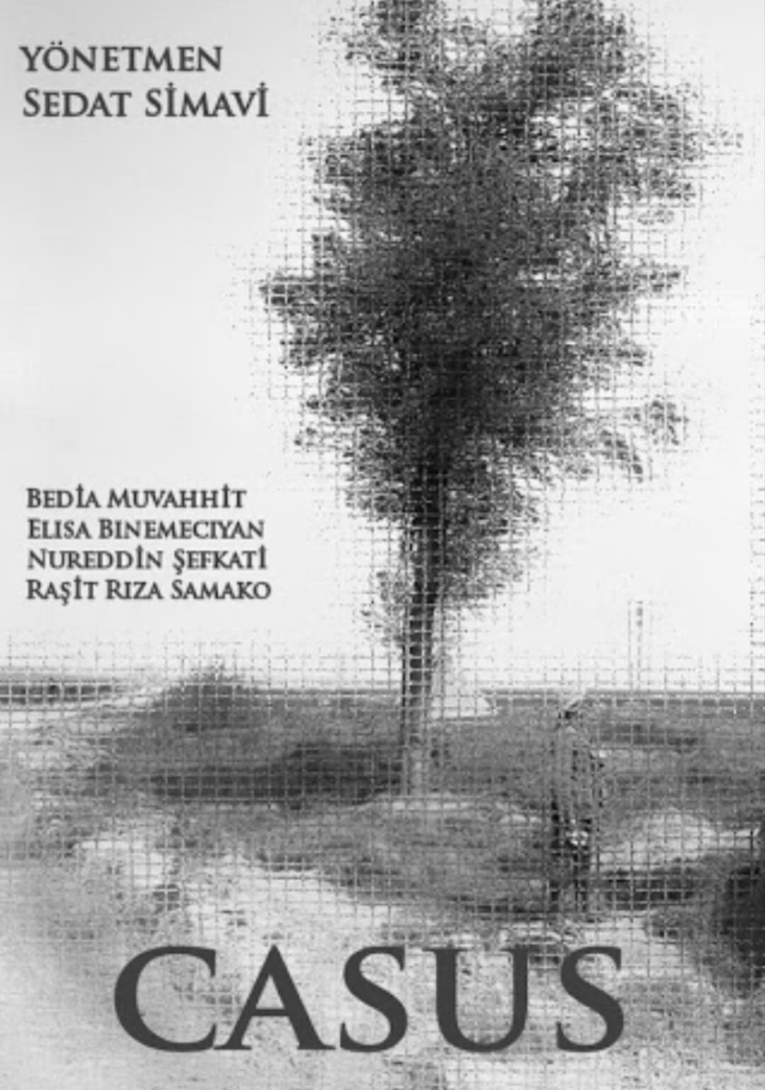 Casus poster – Cult Cinema