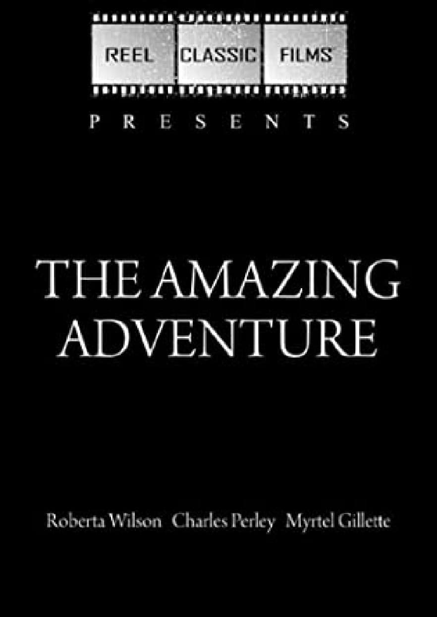 The Amazing Adventure poster