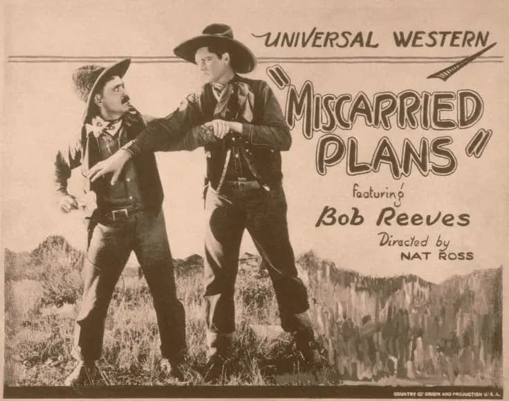 Miscarried Plans