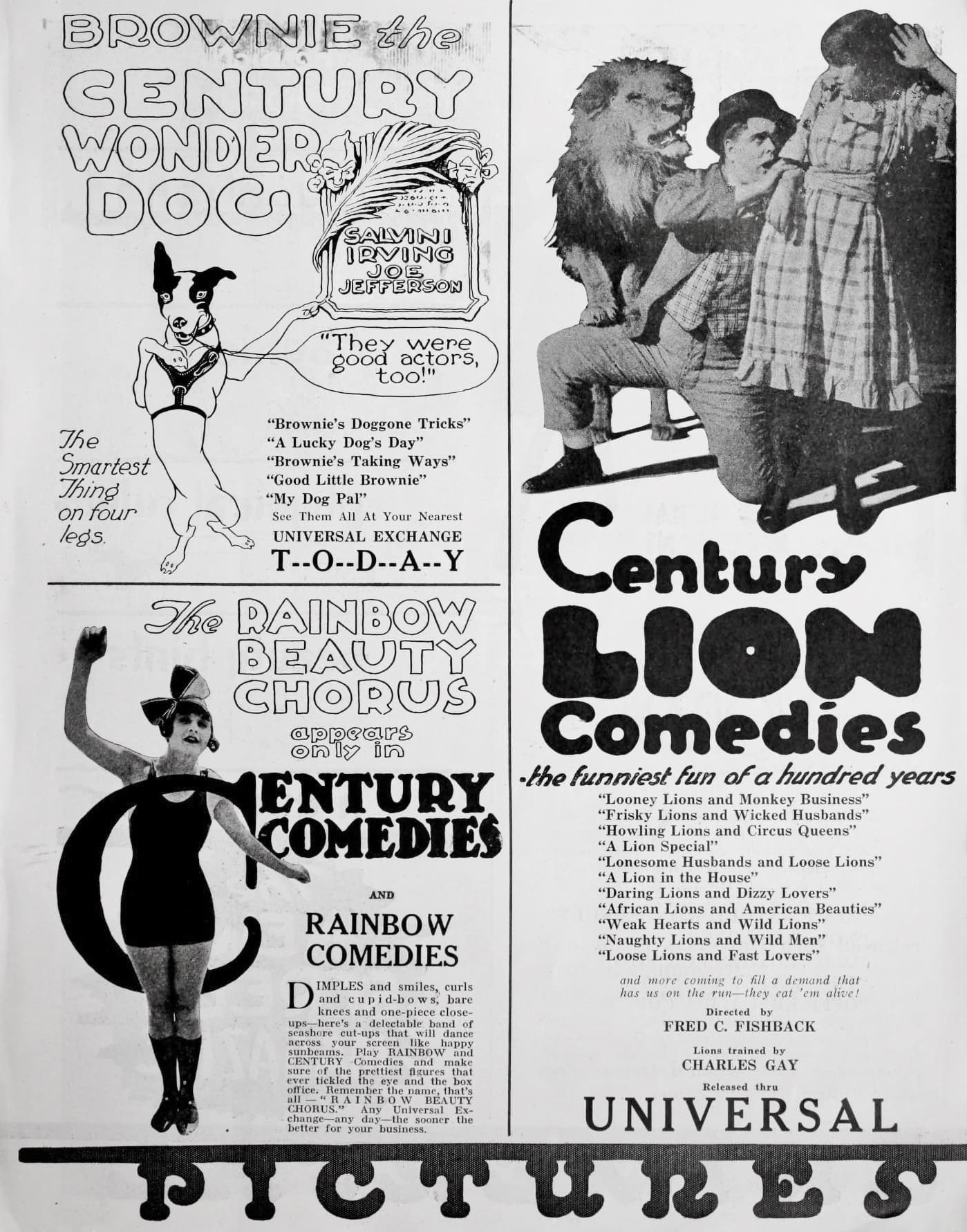 Good Little Brownie poster