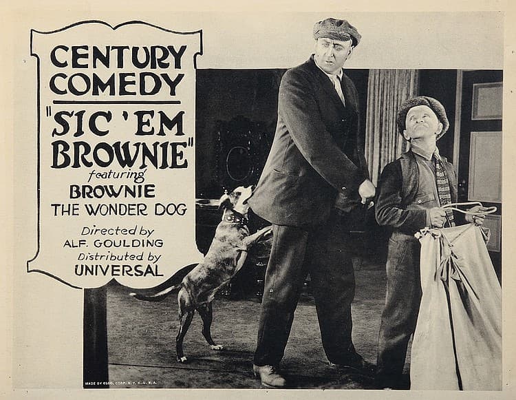 Sic 'Em Brownie (1922) film backdrop