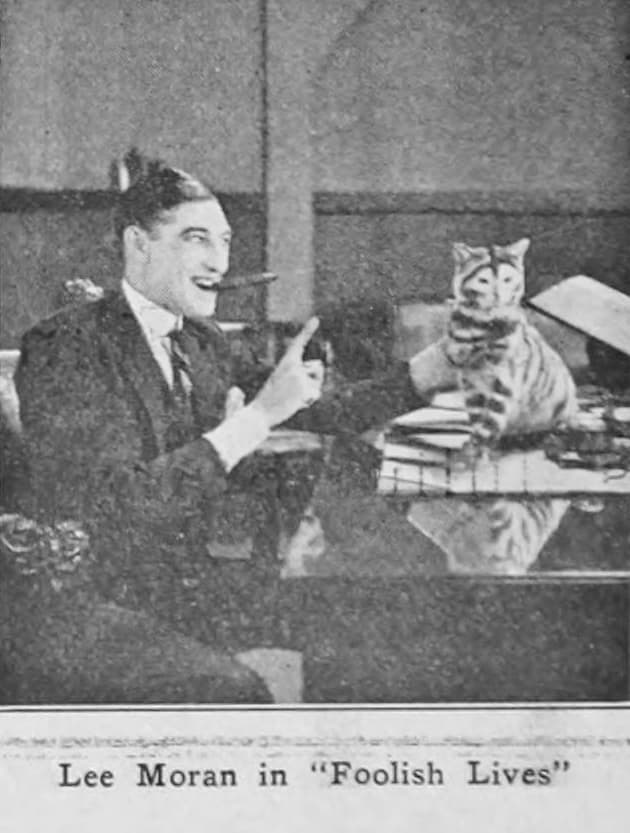 Foolish Lives poster