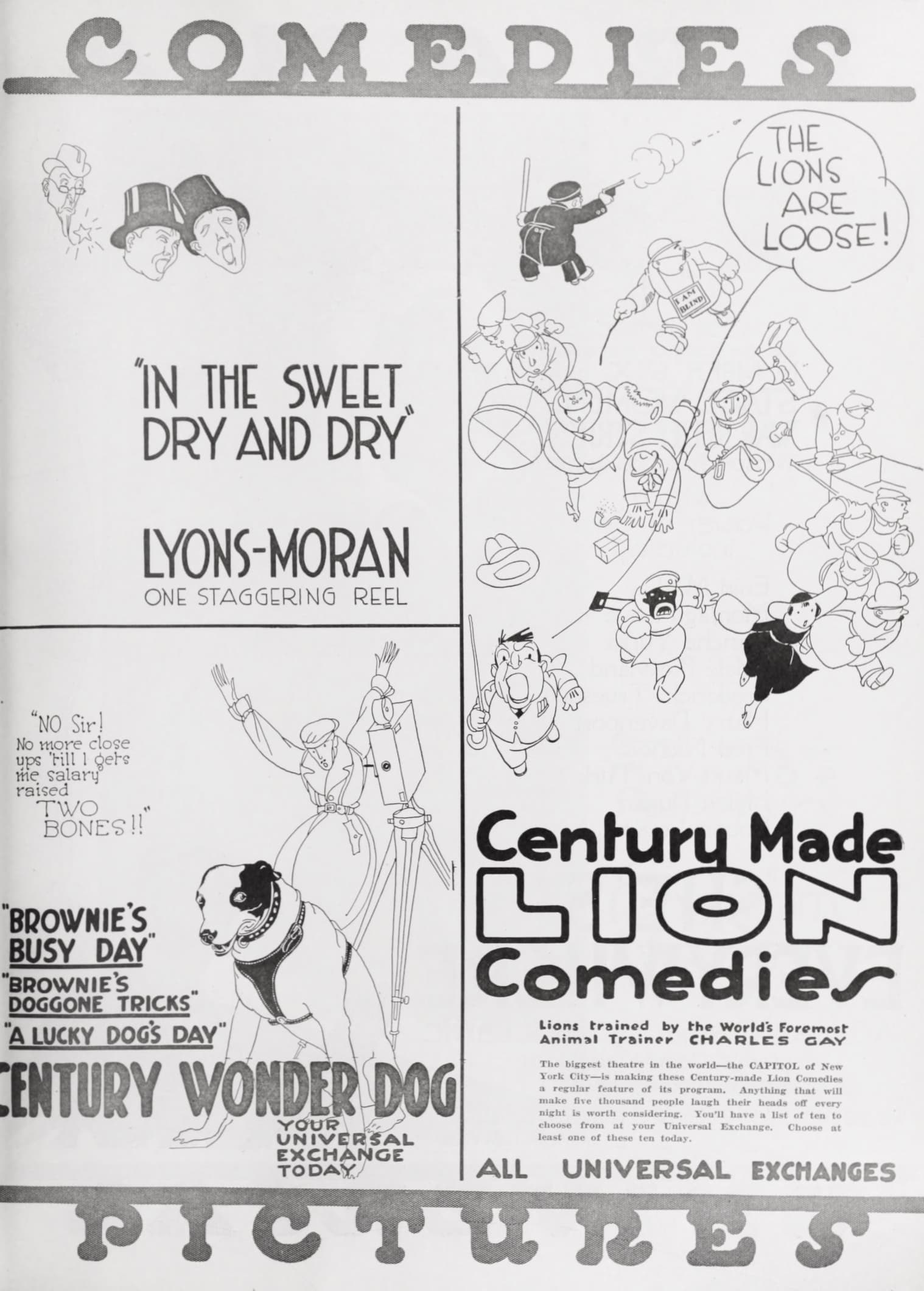 The Sweet Dry and Dry poster – Cult Cinema