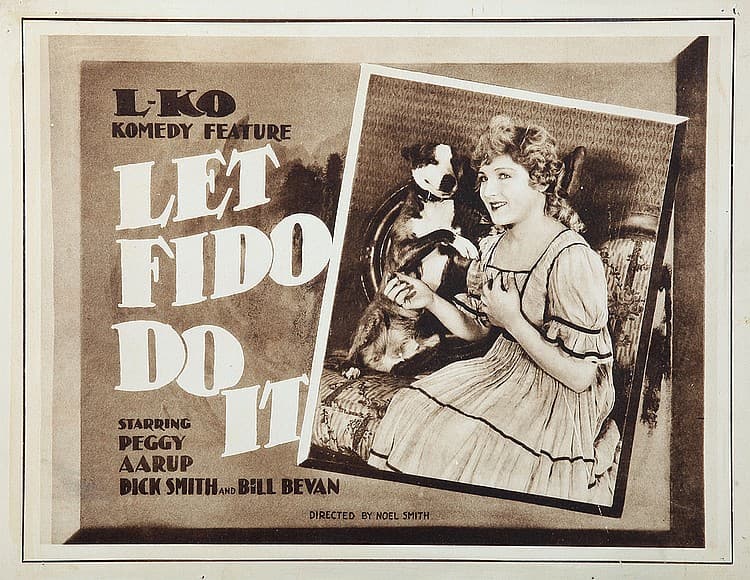 Let Fido Do It poster