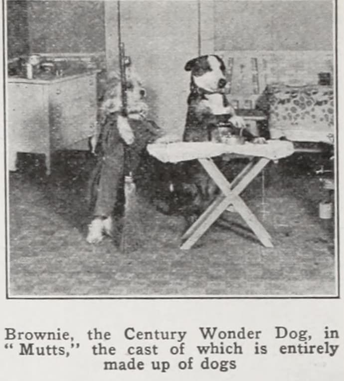 Mutts (1922) hero backdrop