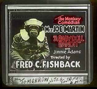 A Baby Doll Bandit poster – Cult Cinema