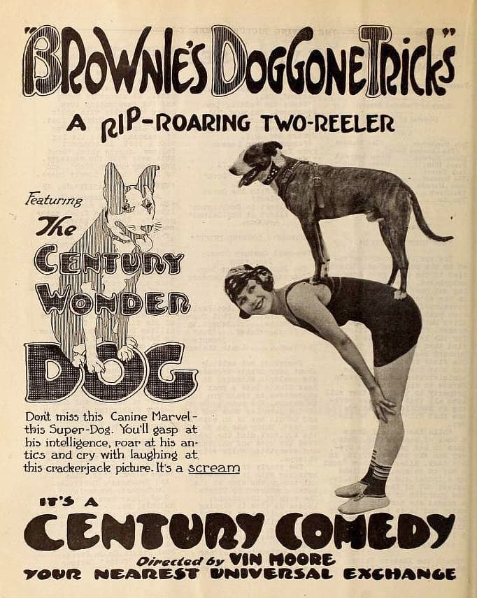 Brownie's Doggone Tricks poster