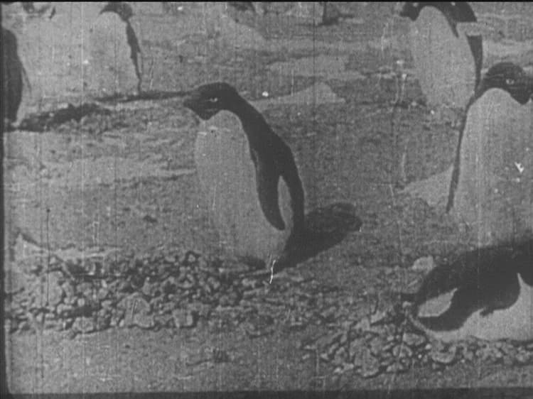 Nankyoku tanken katsudô shashin