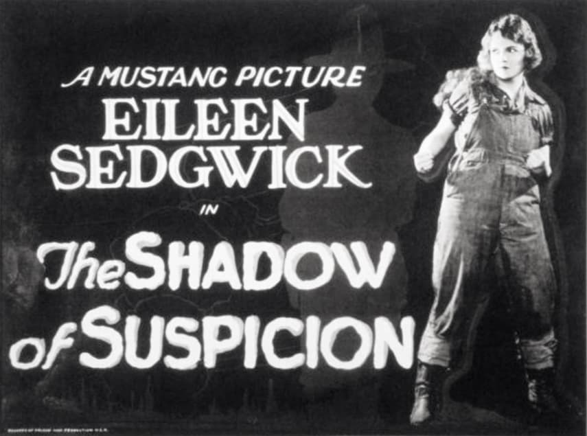 The Shadow of Suspicion