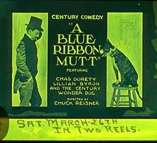 A Blue Ribbon Mutt