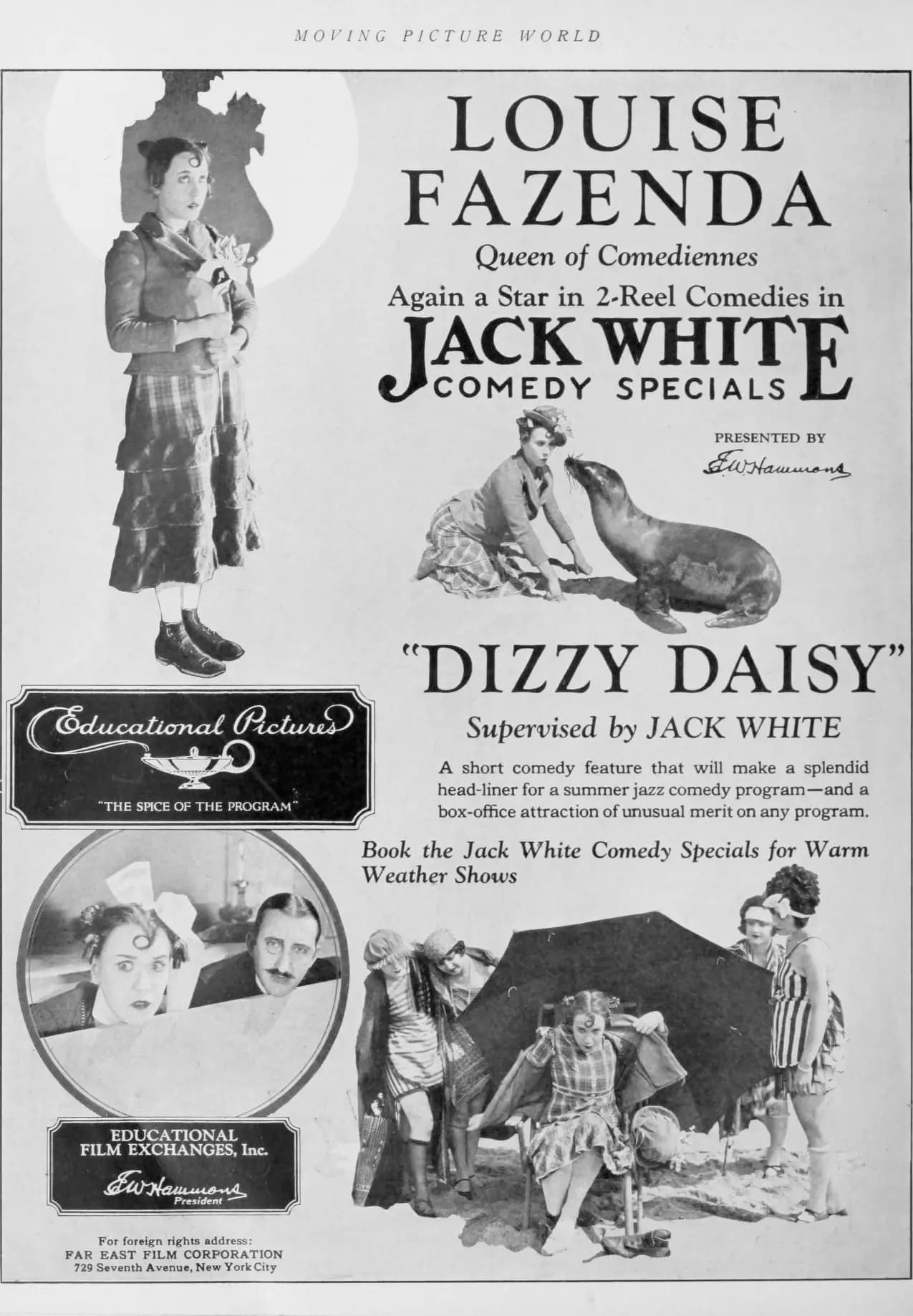 Dizzy Daisy poster