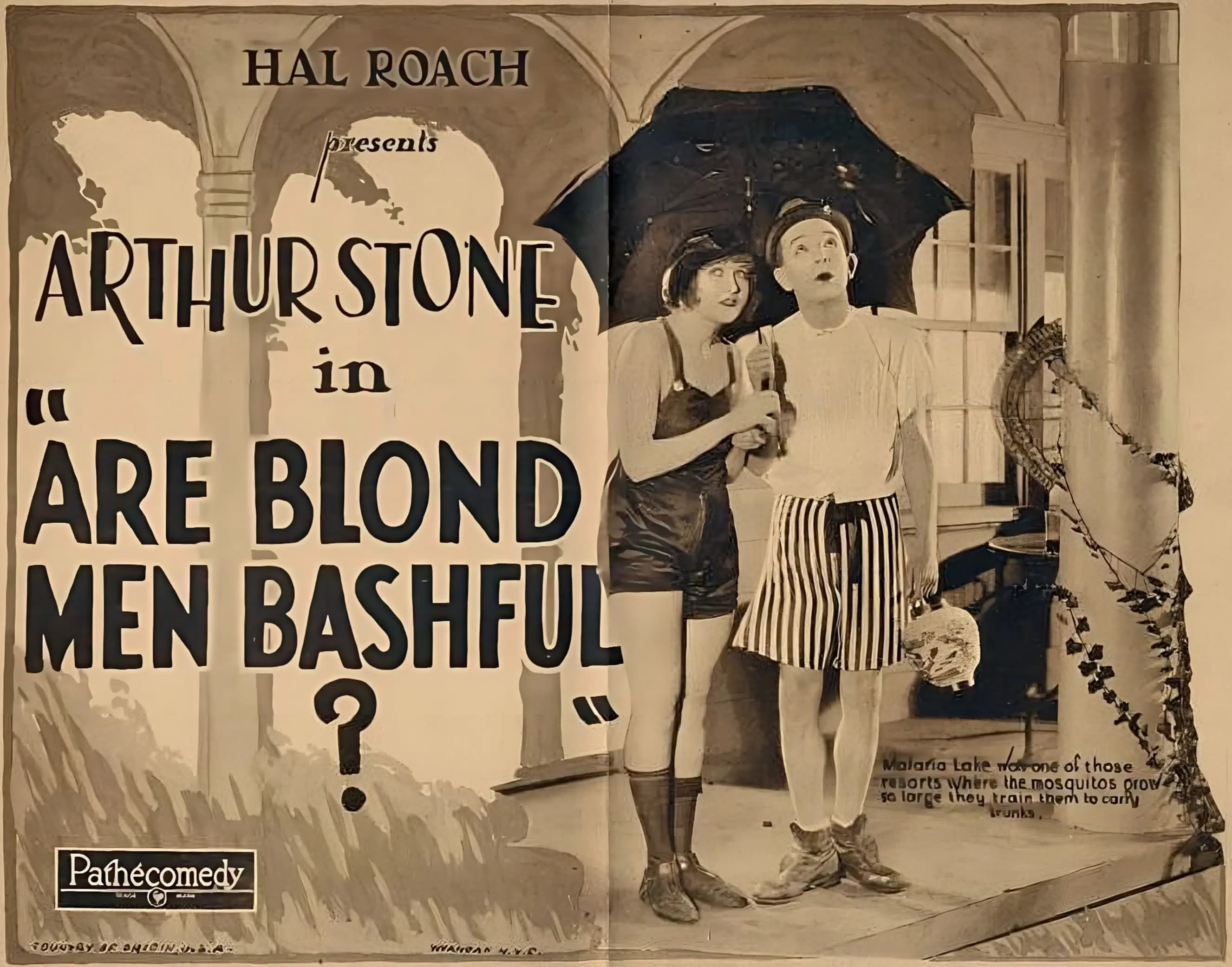 Are Blonde Men Bashful? (1924) film backdrop