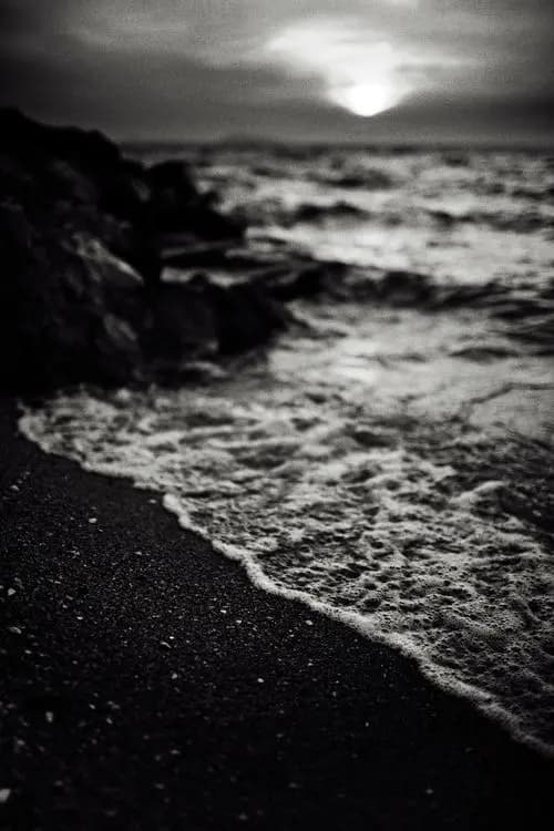 Strandgut hero backdrop