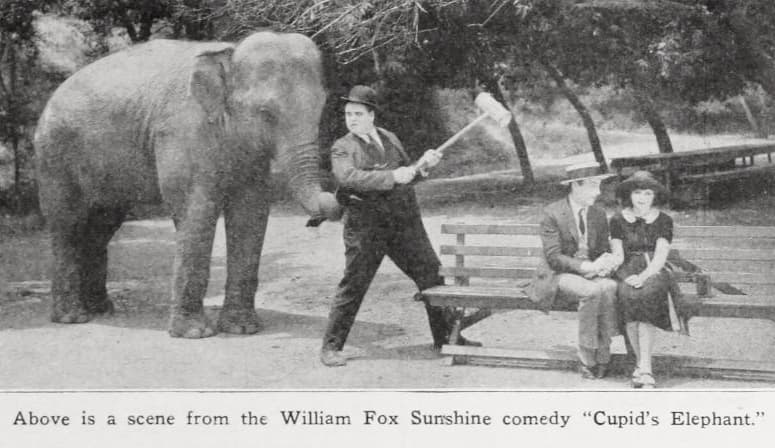 Cupid's Elephant poster