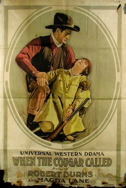 When the Cougar Called poster – Cult Cinema