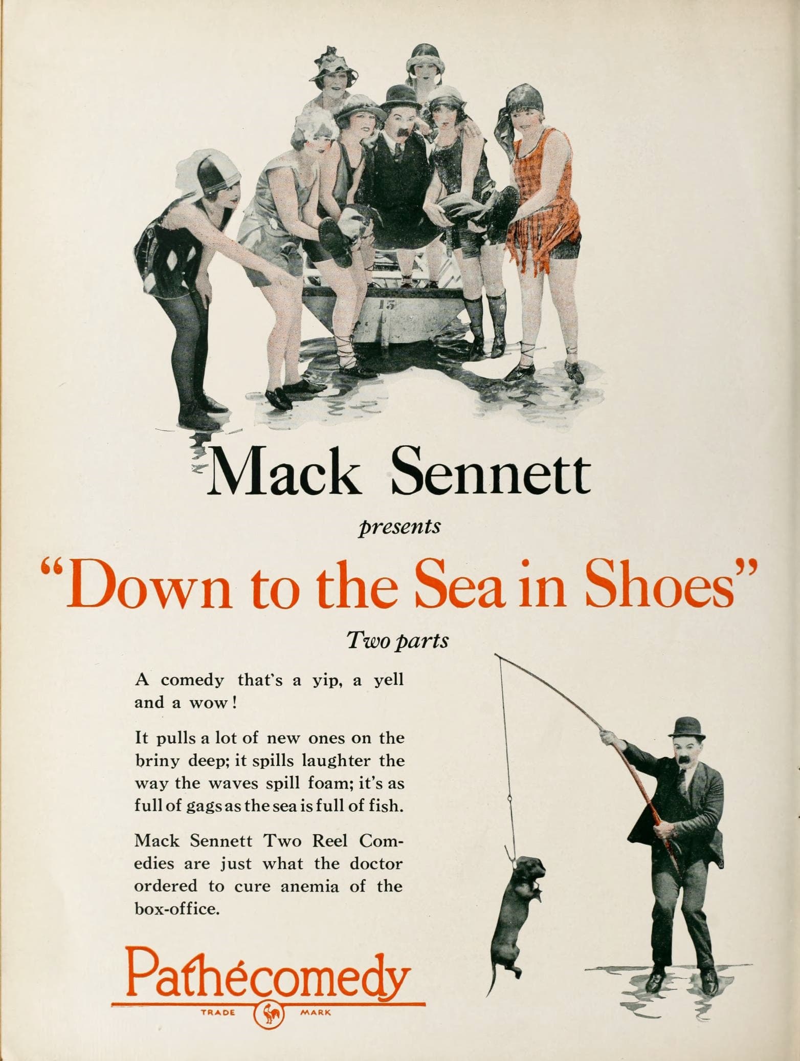 Down to the Sea in Shoes poster