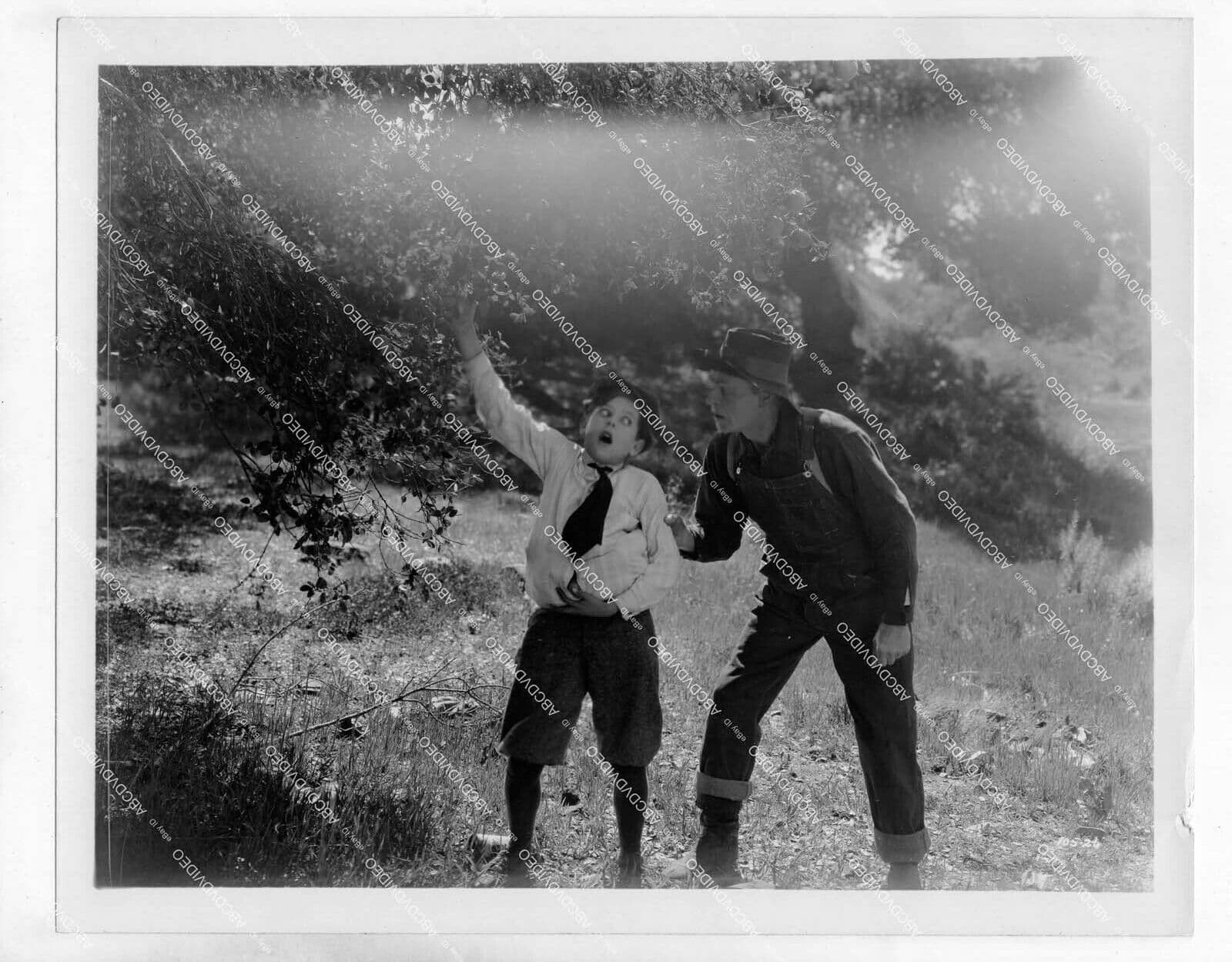 Edgar's Jonah Day poster – Cult Cinema