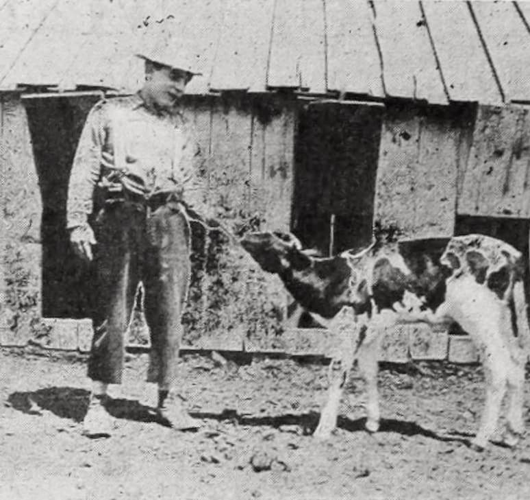 Fresh from the Farm poster – Cult Cinema