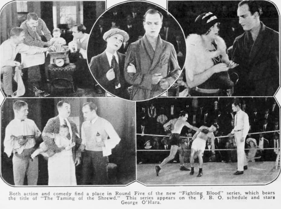 The Taming of the Shrewd