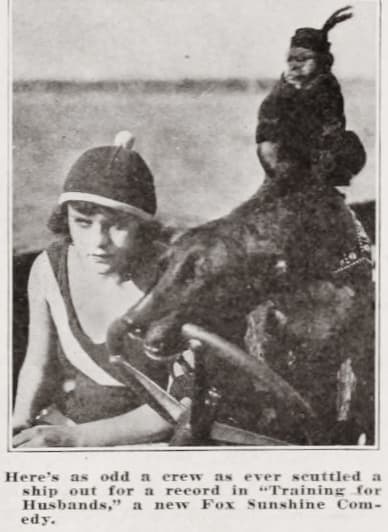 Training for Husbands poster – Cult Cinema