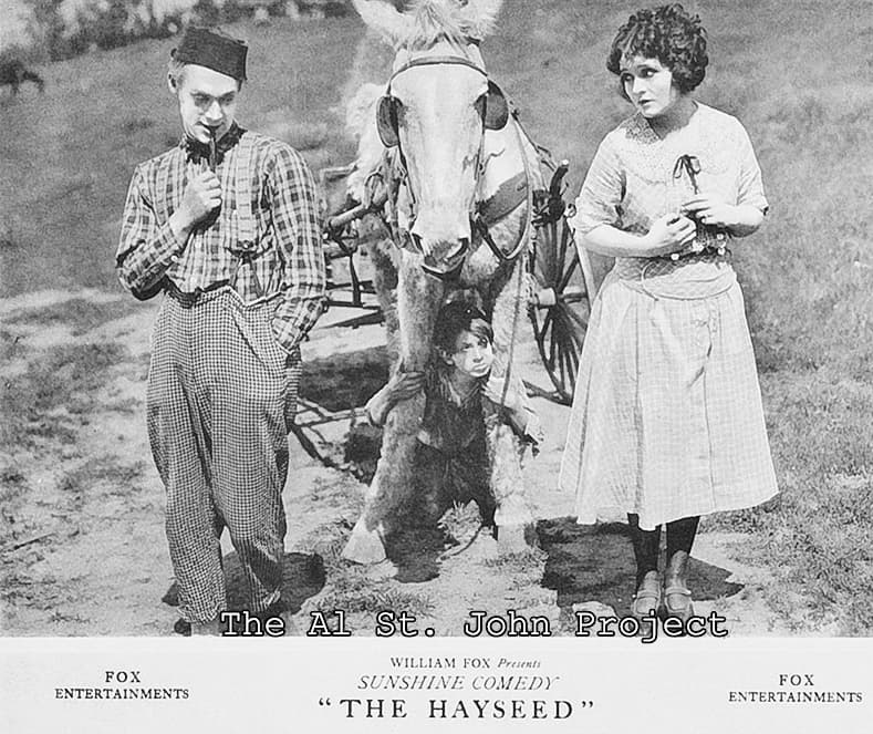 The Hayseed poster