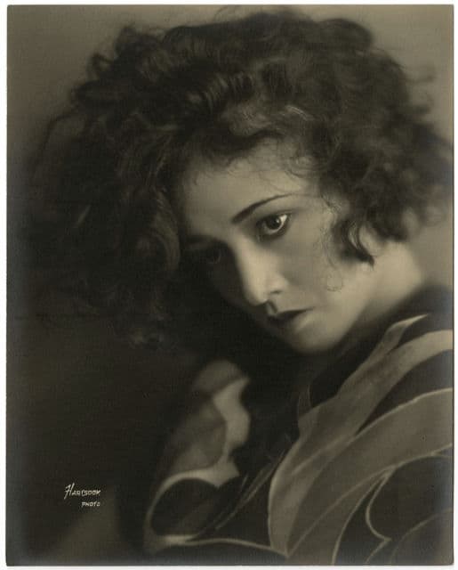 What Ho, the Cook poster