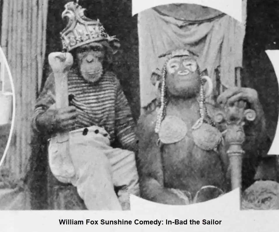 In-Bad the Sailor