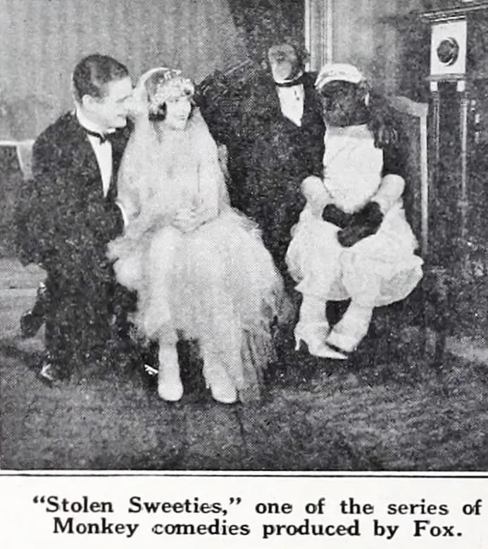 Stolen Sweeties
