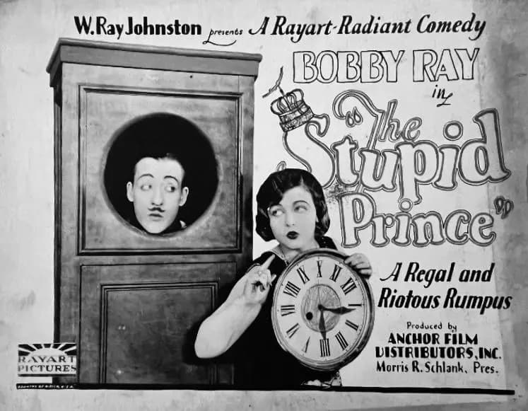 The Stupid Prince