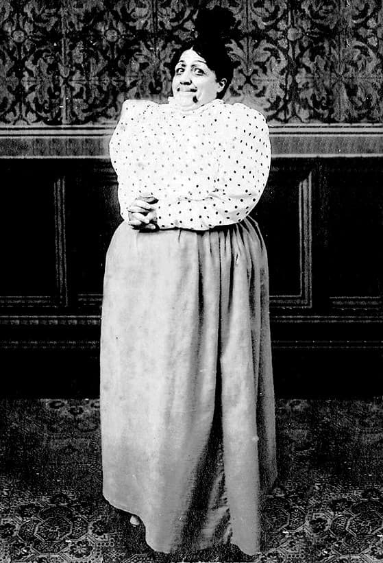 Le peripezie dell'emulo di Fortunello e compagni poster