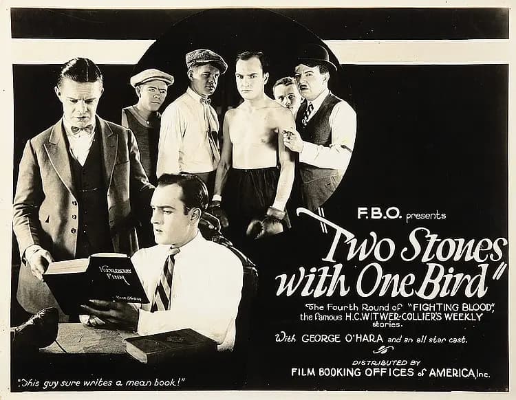 Two Stones with One Bird poster – Cult Cinema