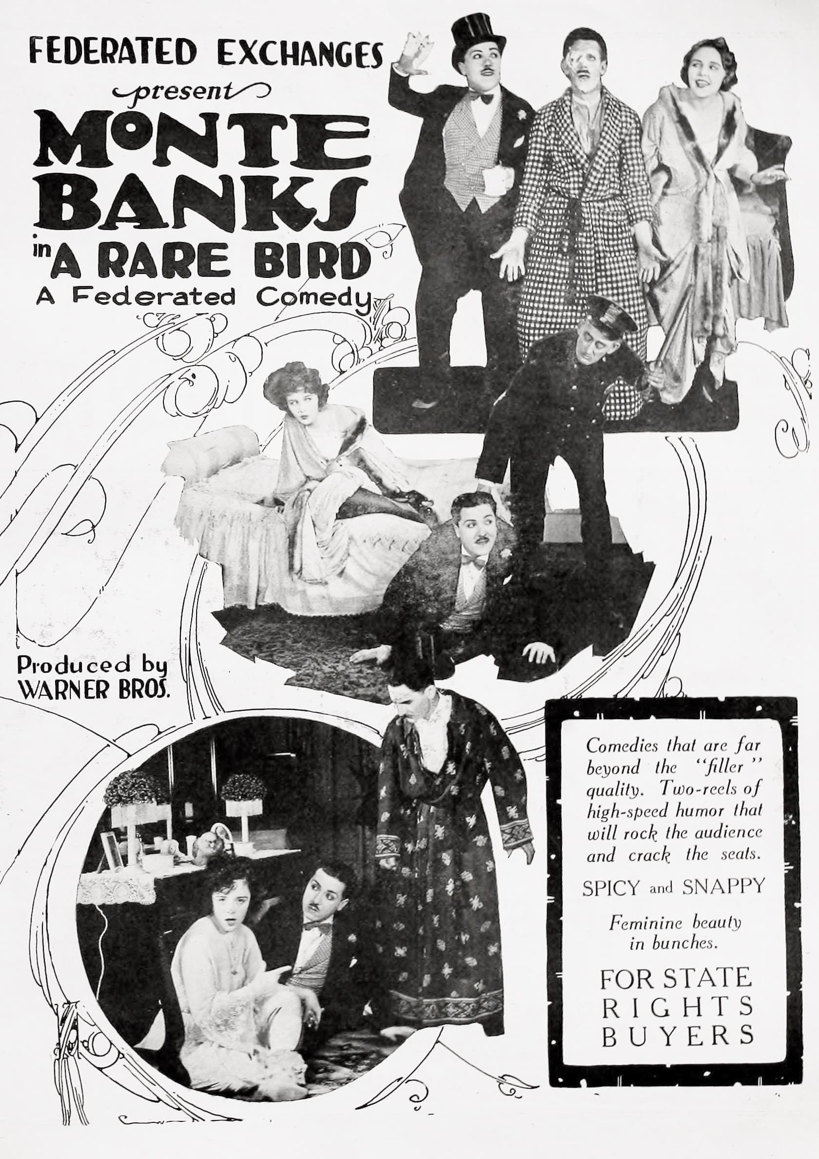 A Rare Bird poster – Cult Cinema