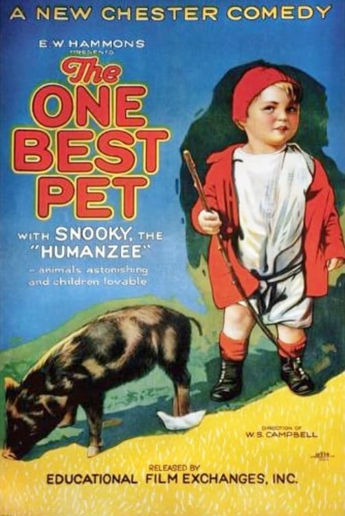 The One Best Pet poster – Cult Cinema
