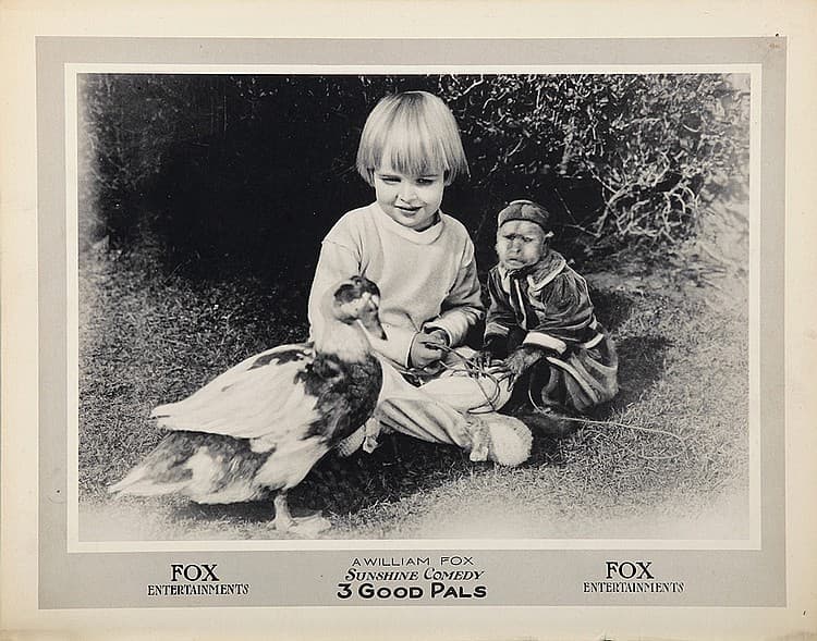 Three Good Pals (1921) film backdrop