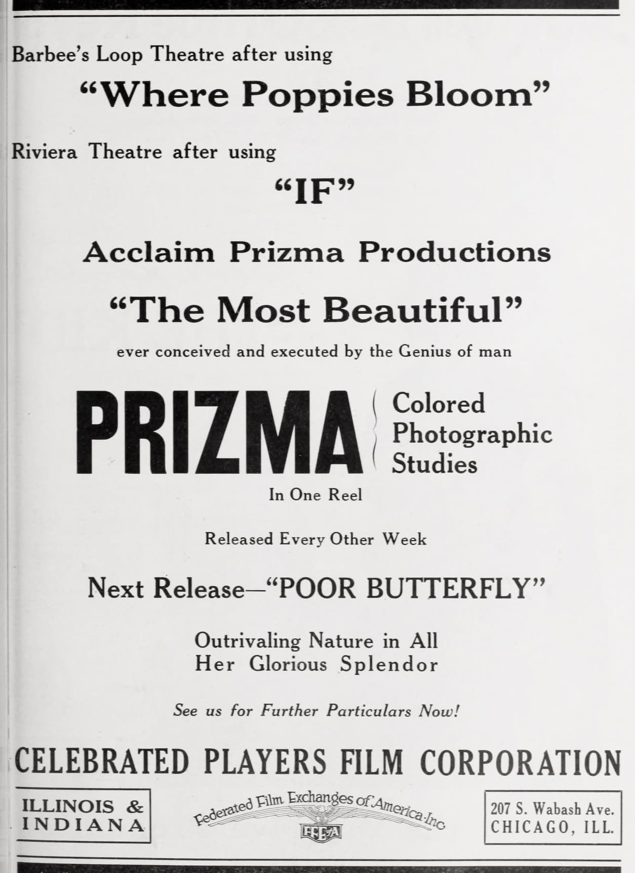 If poster – Cult Cinema