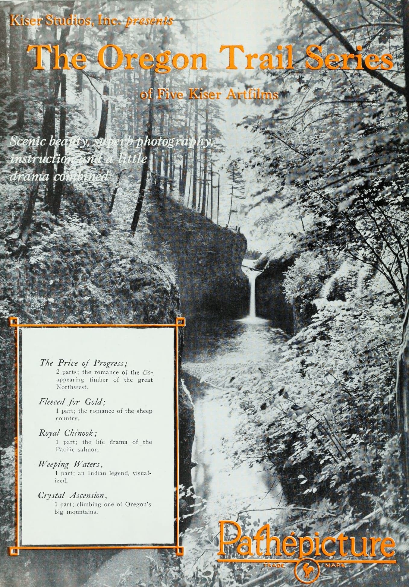 Fleeced for Gold (1922) film backdrop