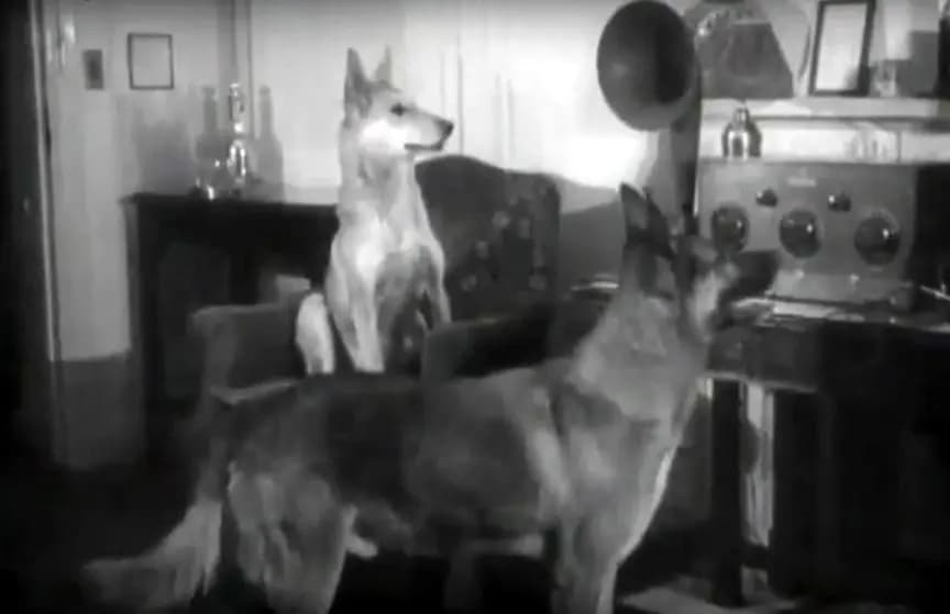 Behind the Scenes (1924) film backdrop