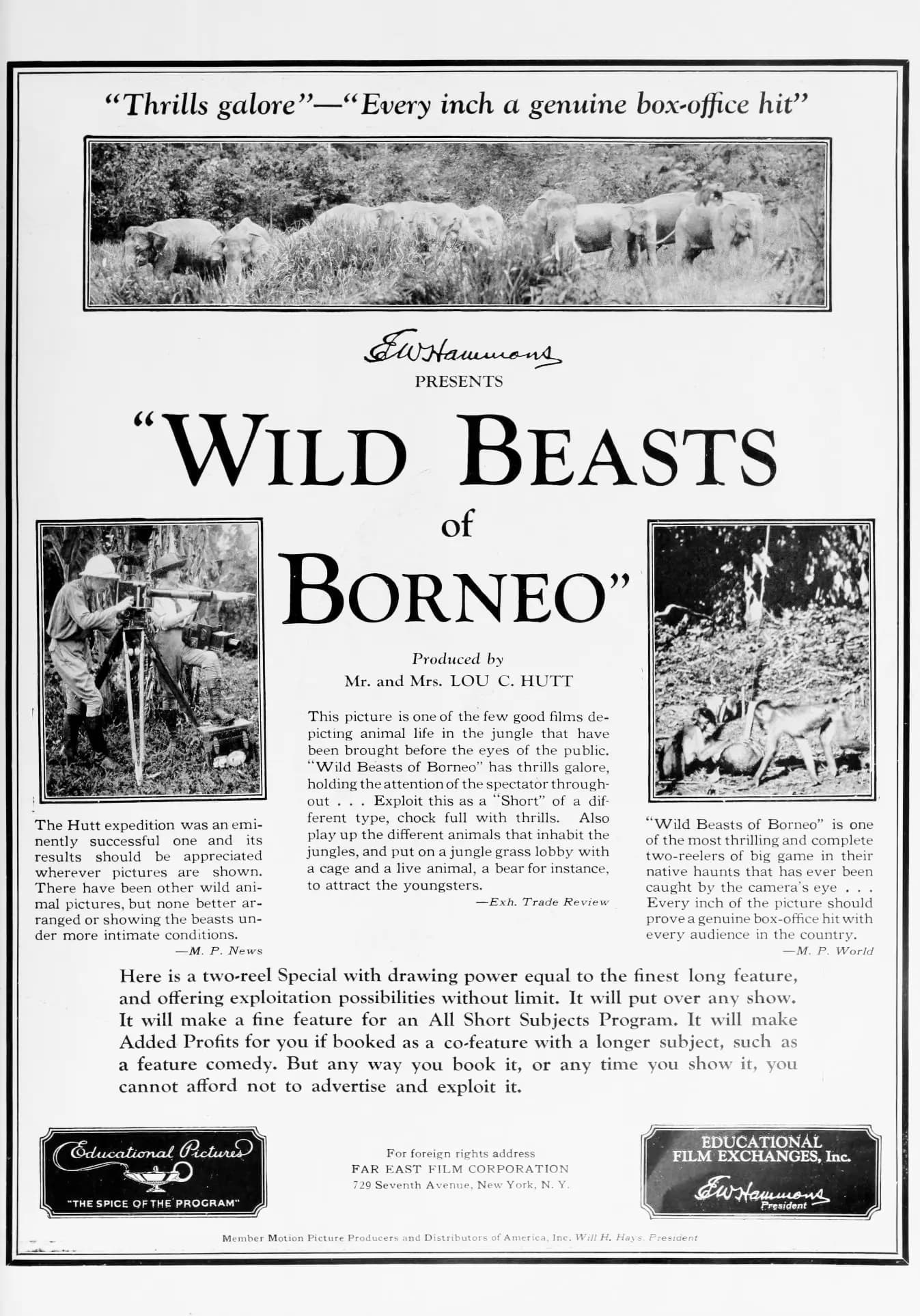 Wild Beasts of Borneo