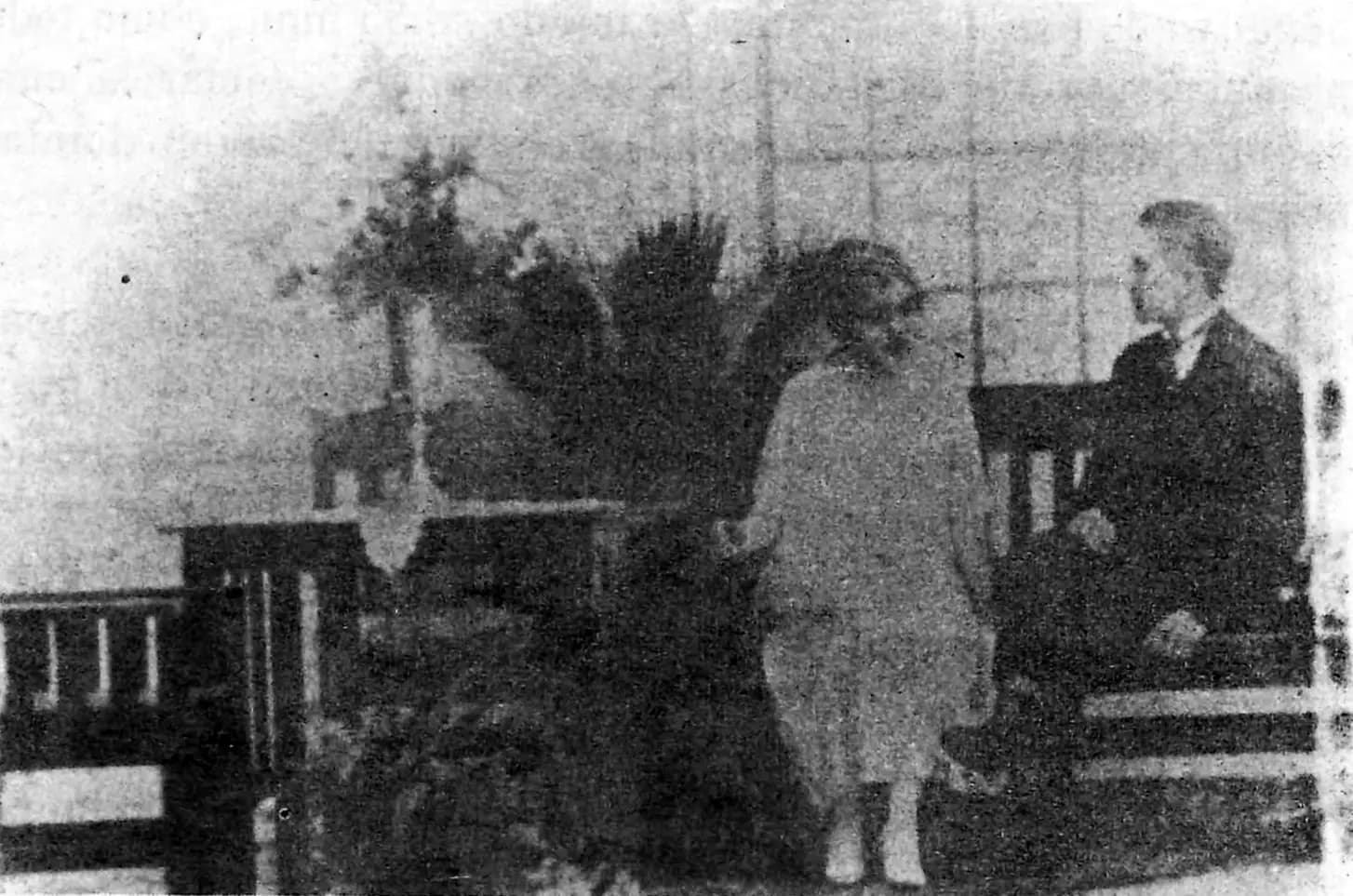Las emboscadas de Cupido (1924) film backdrop