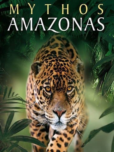 Triumph des Lebens poster – Cult Cinema